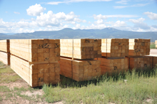 Finished Wood Products Ready for Delivery, Rocky Mountain Timber Products, Del Norte, Colorado
