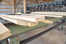 Our Mill, Rocky Mountain Timber Products, Del Norte, Colorado