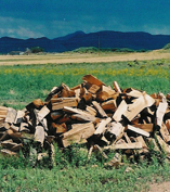 Fire Wood, Rocky Mountain Timber Products, Del Norte, Colorado